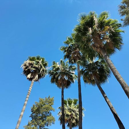 מלון Vas Malaga Ciudad מראה חיצוני תמונה