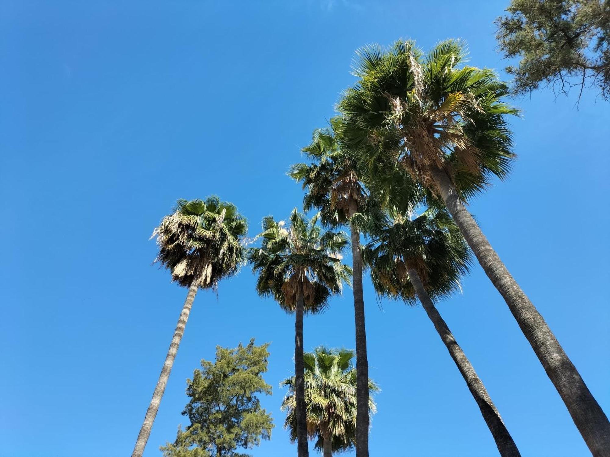 מלון Vas Malaga Ciudad מראה חיצוני תמונה